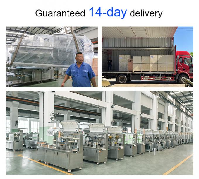 DPP160pro Capsule Tablet Blister Packing Machine Automatic High Speed 1