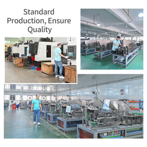 pl143095145-packing_cartoning_machine_automatic_cartoner_for_packaging_sachet_antigen_detection.jpg