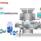pl169478272-sus_stainless_steel_capsule_counting_machine_ideal_for_pharmaceutical_packaging.jpg
