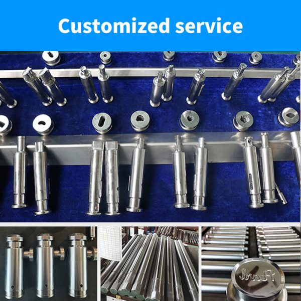 pl94576484-pill_tablet_press_machine_high_speed_pharmaceutical_pills_maker_powder_55000_pcs_h.jpg