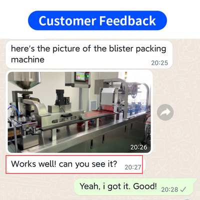 Blister Packing Machine Alu PVC Tablet Capsule Auto Sealing Forming