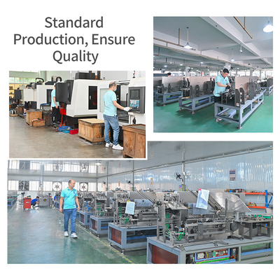 Packing Cartoning Machine Automatic Cartoner For Packaging Sachet Antigen Detection