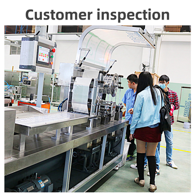 Tablet Capsule Pill Blister Packaging Machine Pharmaceutical Automatic